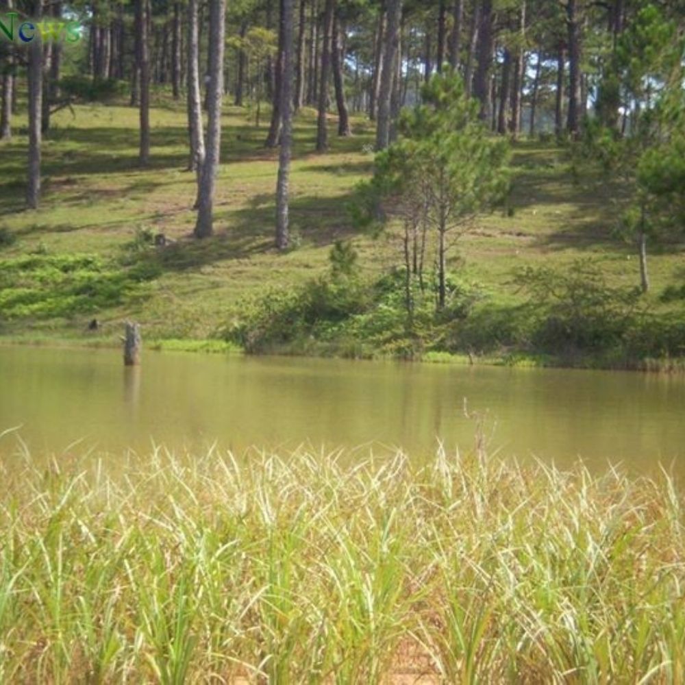 SOVICO đầu tư BĐS Lâm Đồng