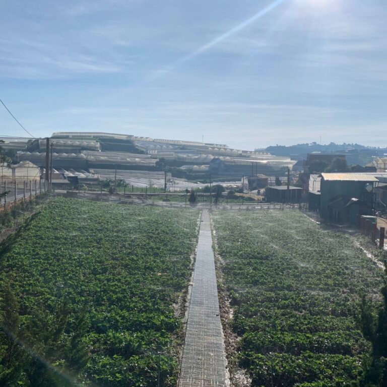 Bán 07 lô đất, đường Đa Phú, Phường 7, thành phố Đà Lạt, 90m2 đến 130m2, Đường nhựa ô tô 5m