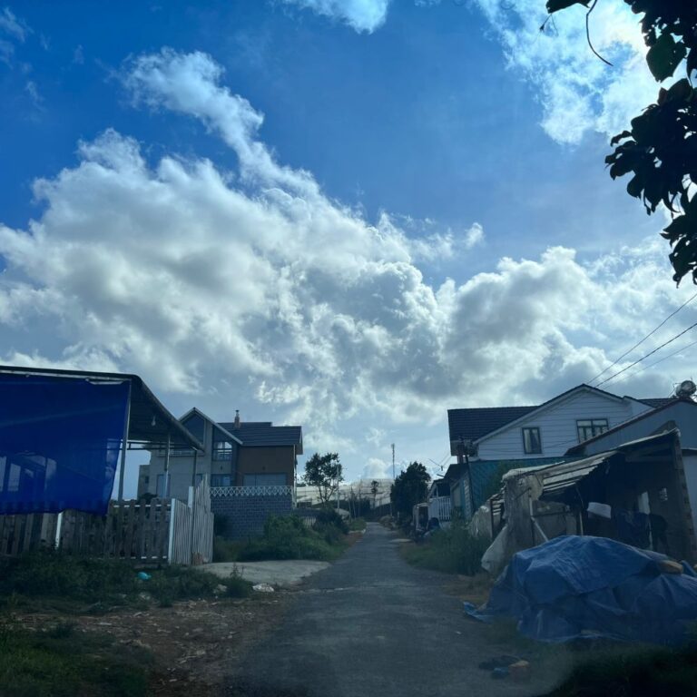 Bán đất, Trại Mát, Phường 11, thành phố Đà Lạt, 265m2, Đường nhựa ô tô 4m