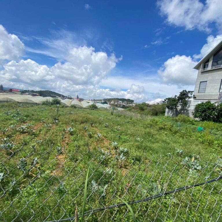 Bán đất, Tự Phước, Phường 11, thành phố Đà Lạt, 320.28m2, Đường hẻm ô tô 4m