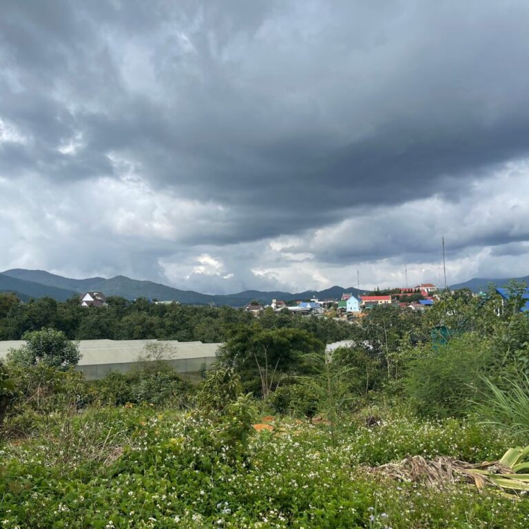 Bán 06 lô đất, xã Đạ Nhim, huyện Lạc Dương, tỉnh Lâm Đồng, 400m2 đến 440m2, Đường nhựa ô tô tận nơi 8m