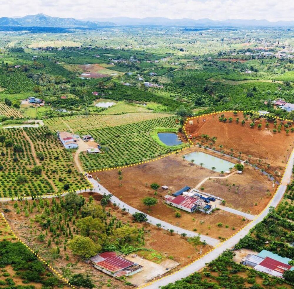 BẤT ĐỘNG SẢN LÂM ĐỒNG 2022
