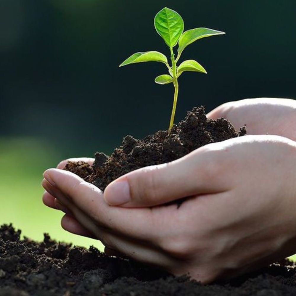 BĐS SINH THÁI SỨC KHỎE BĐS NÔNG NGHIỆP