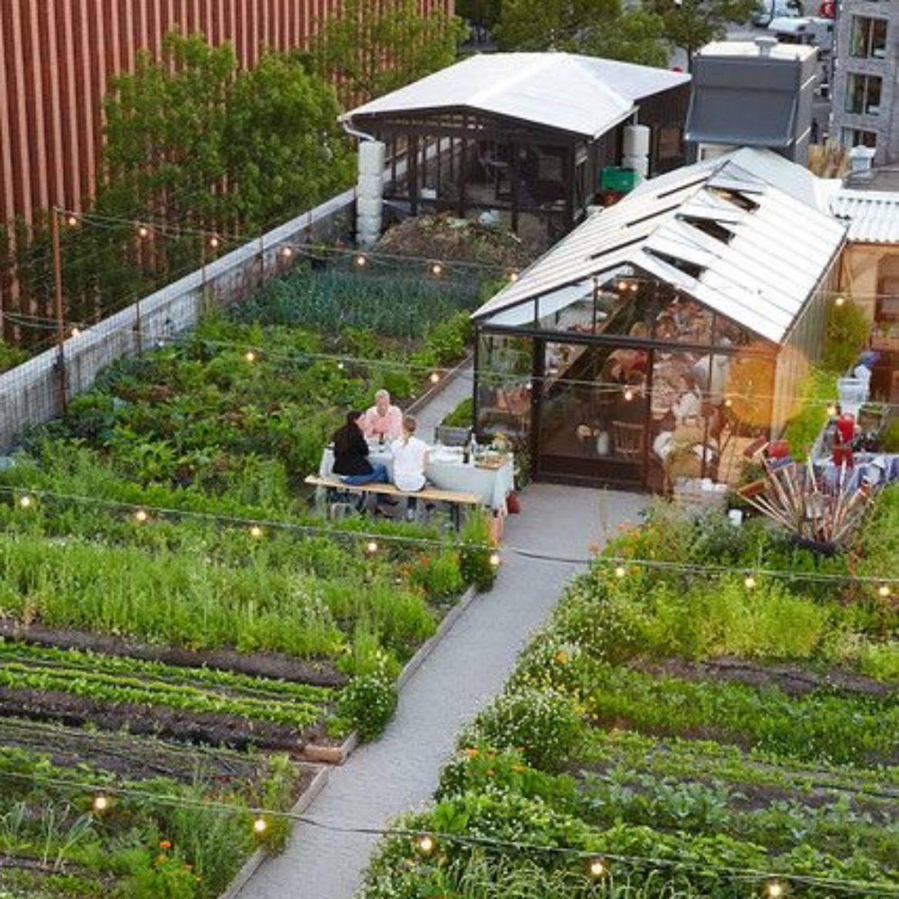 BĐS SINH THÁI SỨC KHỎE BĐS NÔNG NGHIỆP