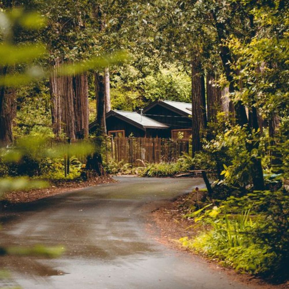 BĐS SINH THÁI SỨC KHỎE BĐS NÔNG NGHIỆP