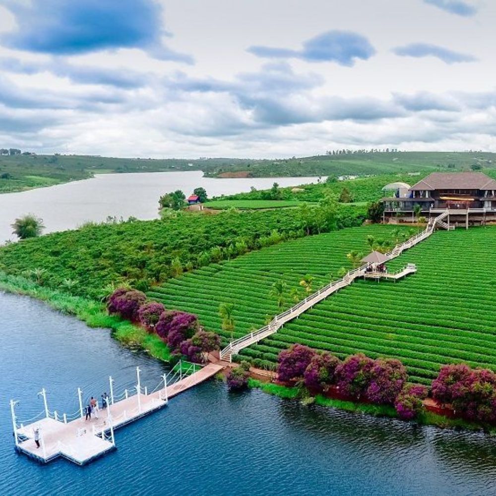 MUA ĐẤT LÂM HÀ LÂM ĐỒNG