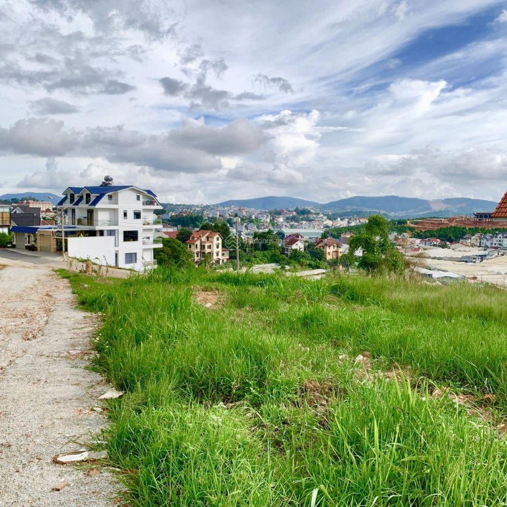 Ngân hàng tăng giá đất 1000m2 Đà Lạt Ngân hàng tăng giá đất 1000m2 Đà Lạt