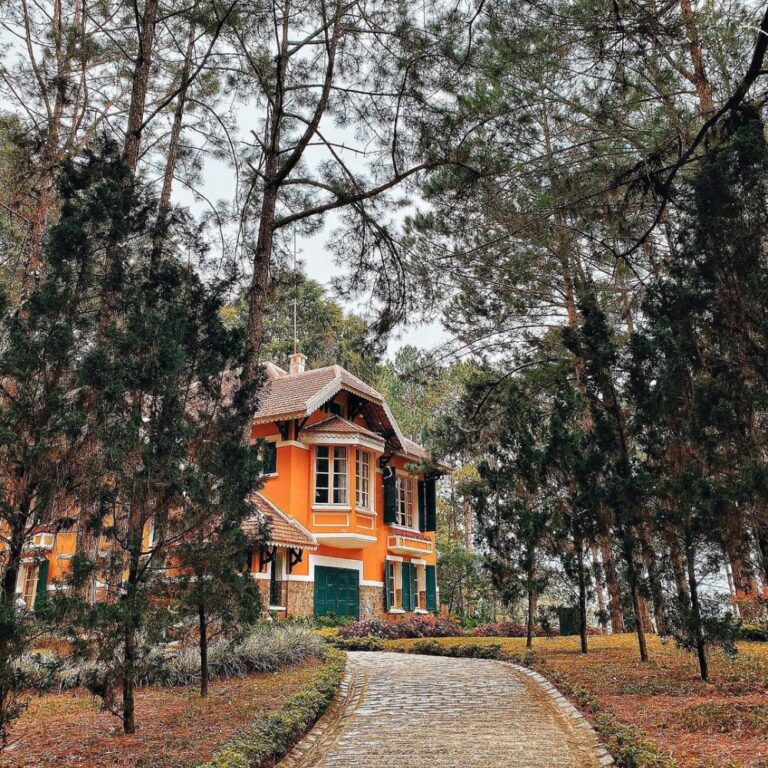 LÂM ĐỒNG THU HỒI LẠI ĐẤT ĐÃ CHO CÔNG TY HOÀN CẦU ĐÀ LẠT THUÊ LÀM DỰ ÁN DU LỊCH VÀ NGHỈ DƯỠNG CAO CẤP