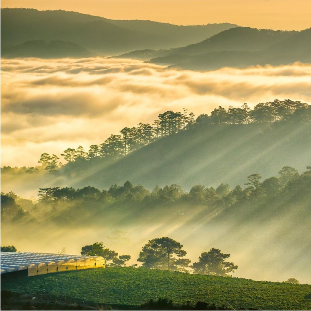 Vung dat phat trien Lam Dong quangthinhland.vn 03