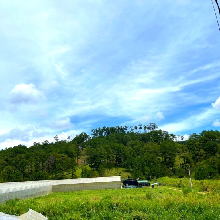 Bán đất, xã Đạ Nhim, huyện Lạc Dương, tỉnh Lâm Đồng, thích hợp làm Farmstay, 11.000m2, Đường bê tông ô tô tận nơi 6m