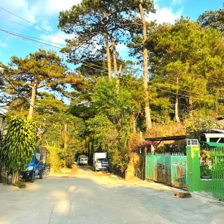 Bán đất, đường Lê Lai, Phường 5, TP Đà Lạt, 429m2, Đường hẻm ô tô vào tận nơi 5m