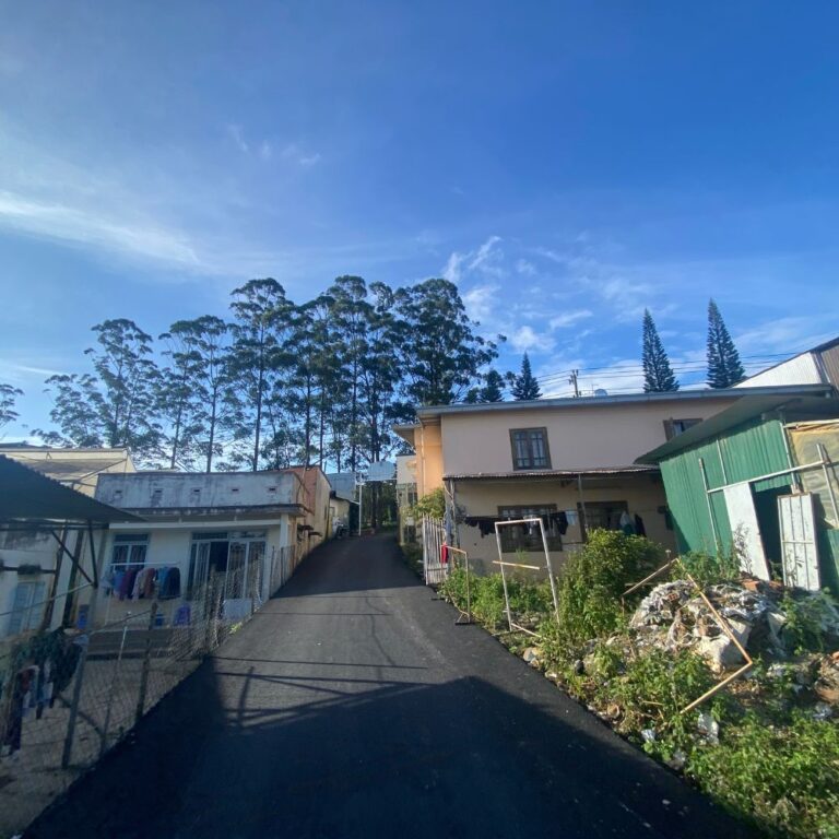 Bán đất, đường Mai Anh Đào, phường 8, thành phố Đà Lạt, gần KDL Thung Lũng Tình Yêu, 305m2, Đường ô tô tận nơi