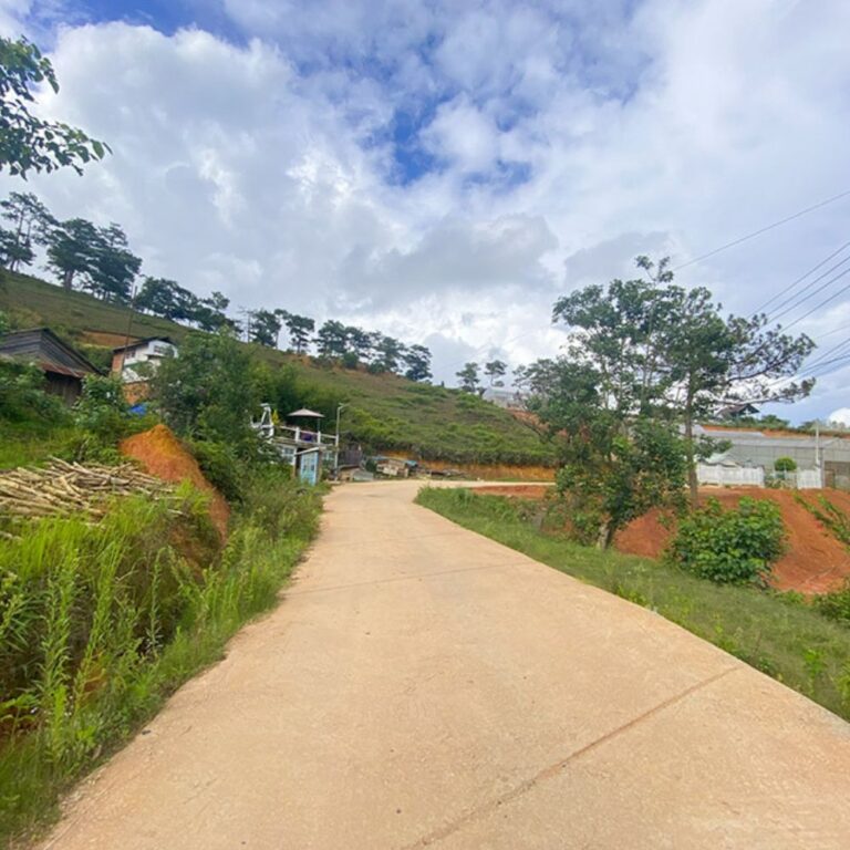 Bán đất, đường Măng Line, Phường Langbiang (P7 cũ), thành phố Đà Lạt, Gần Mây Lang Thang, 998.33m2, Đường ô tô vào tận nơi