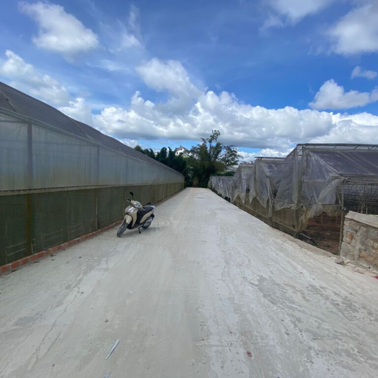 Bán đất, đường Trần Quang Khải, phường 8, thành phố Đà Lạt, gần UBND Phường 8, 323m2, Đường bê tông ô tô tận nơi