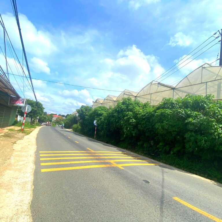 Bán đất, đường Vạn Thành, phường 5, thành phố Đà Lạt, 437,23m2, Đường lộ giới 20m