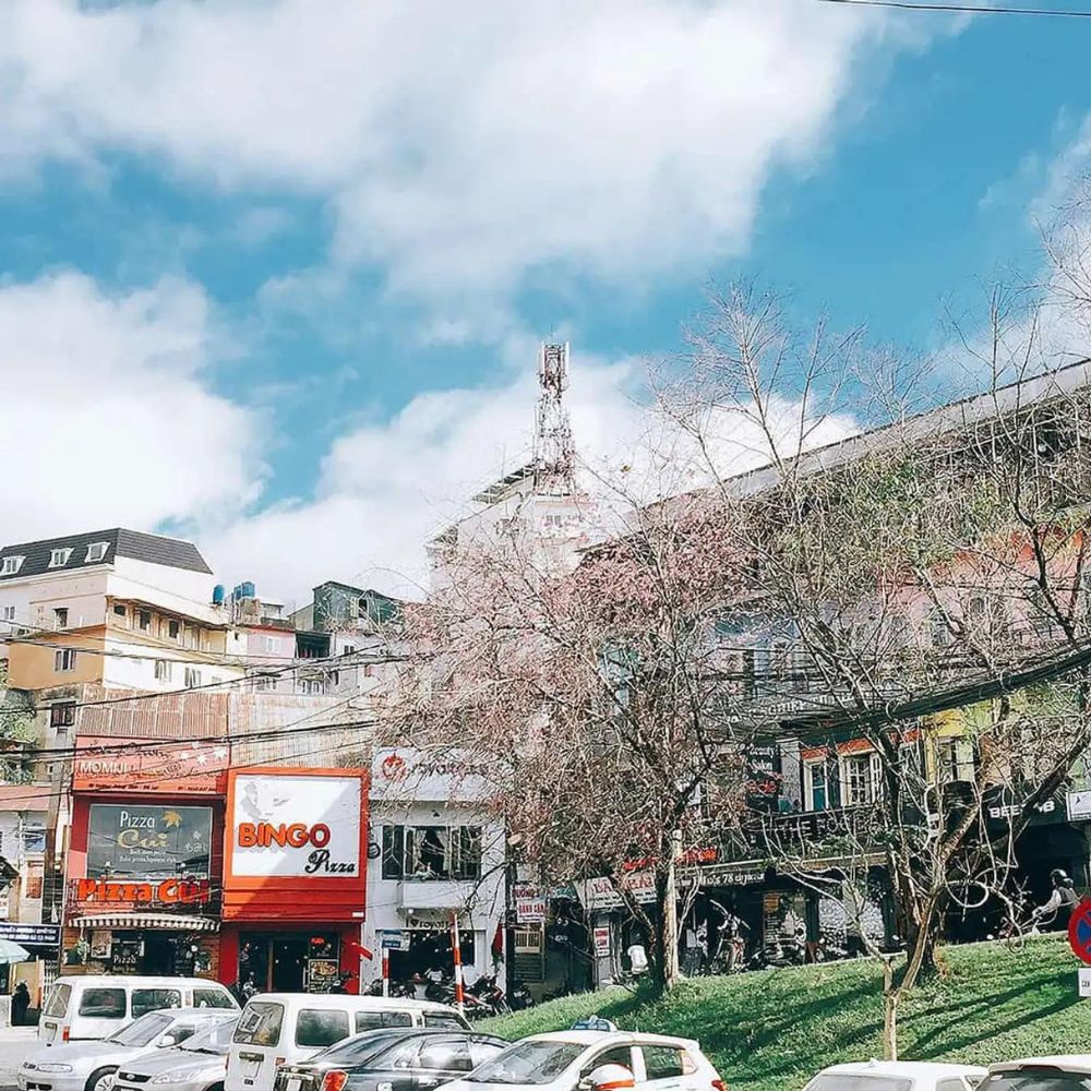 Pho tay Truong Cong Dinh Da Lat quangthinhland.vn 04