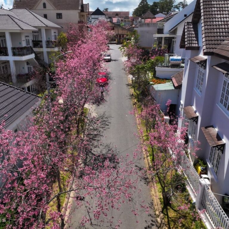 NHỮNG LÝ DO NÊN MUA NHÀ ĐẤT TRONG CÁC KHU QUY HOẠCH TẠI ĐÀ LẠT