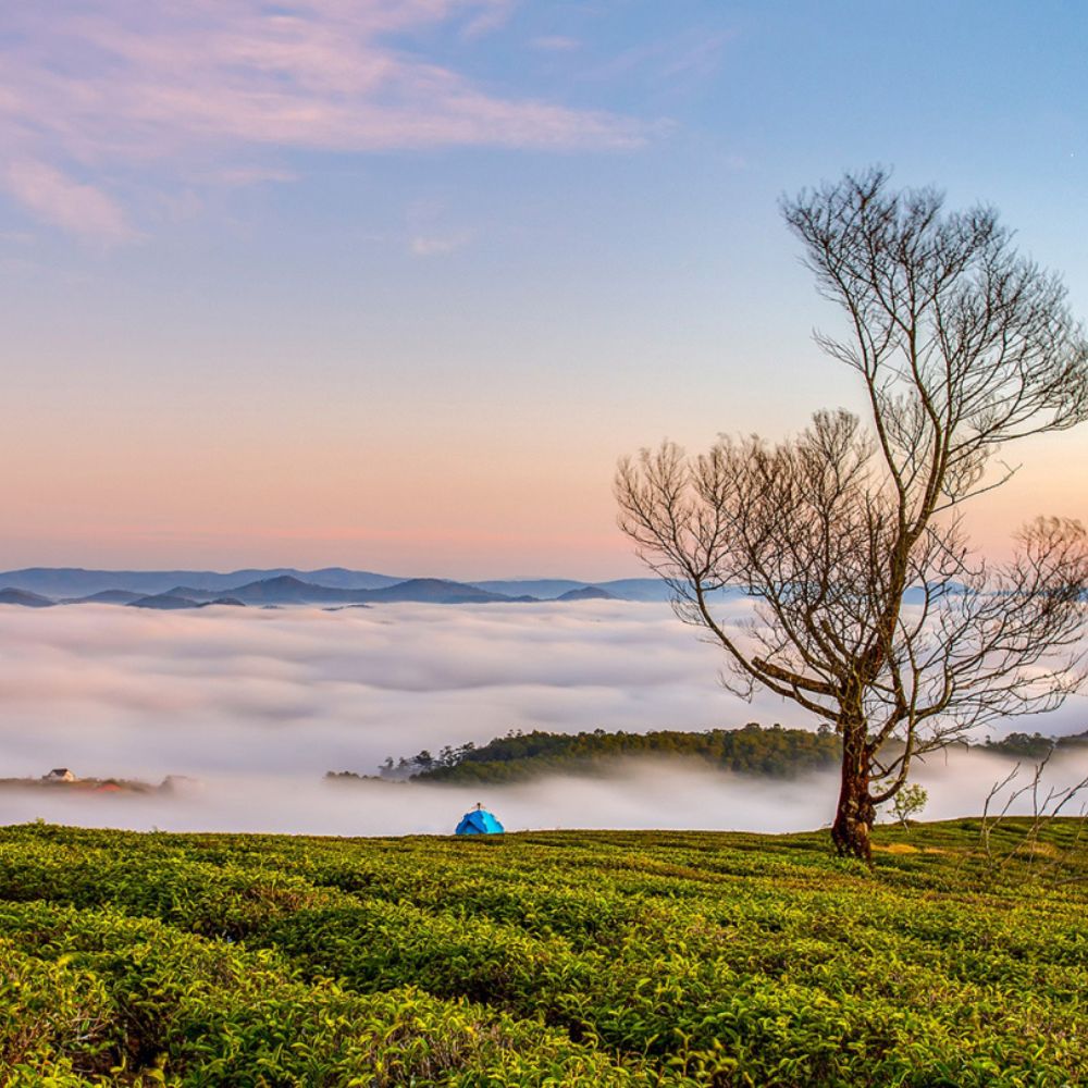 BĐS LÂM ĐỒNG THIÊN ĐƯỜNG BĐS XANH, SỨC KHỎE 1 Xu huong bat dong san suc khoe quangthinhland.vn 01