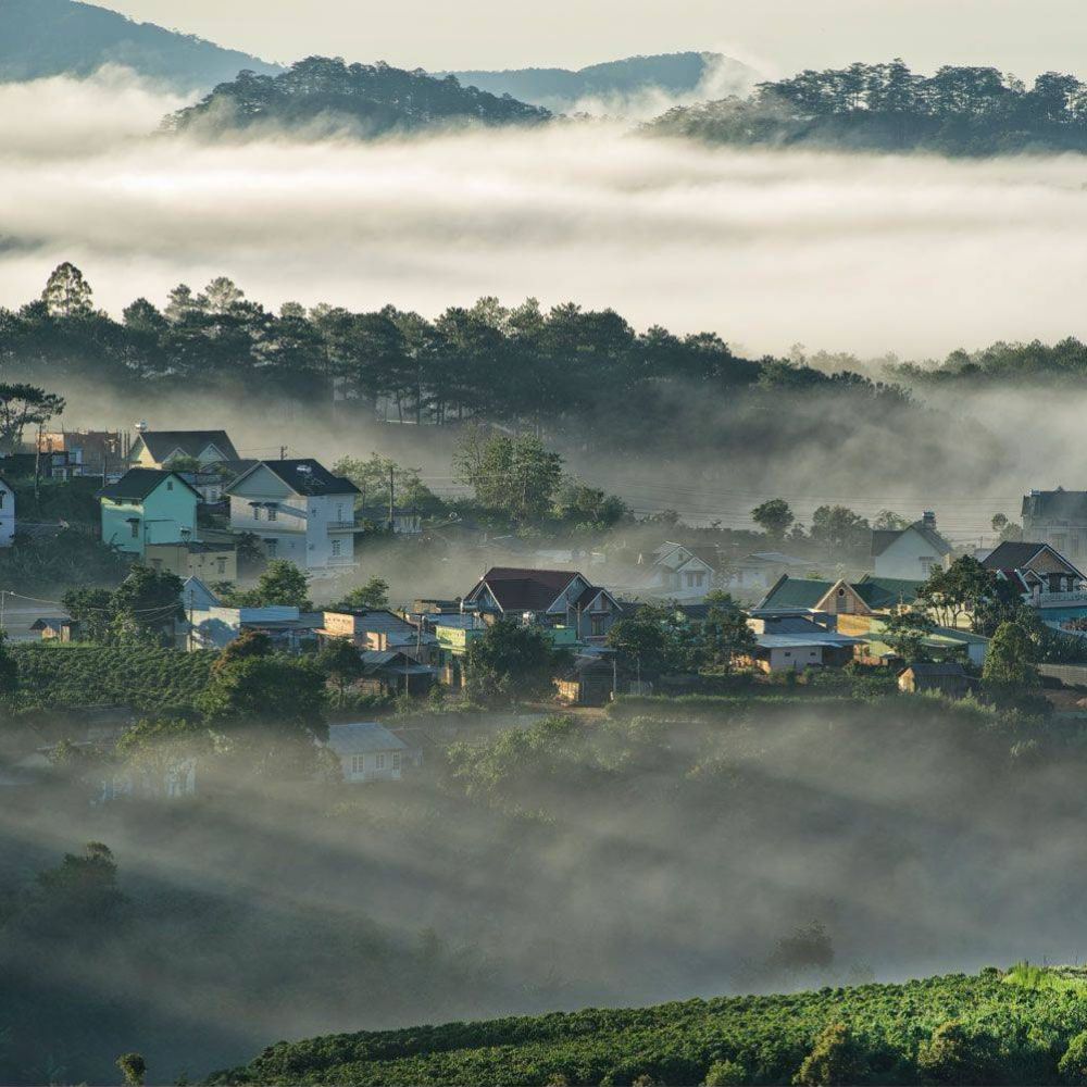 BĐS LÂM ĐỒNG THIÊN ĐƯỜNG BĐS XANH, SỨC KHỎE 2 Xu huong bat dong san suc khoe quangthinhland.vn 02