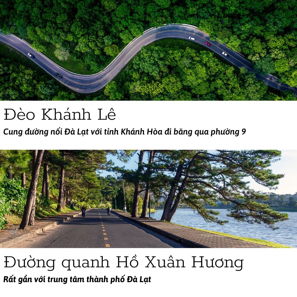 ancgroup.vn BẤT ĐỘNG SẢN PHƯỜNG 9 ĐÀ LẠT