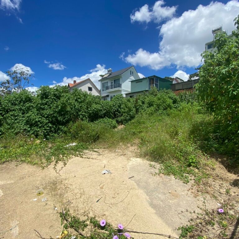 Bán đất, đường Lê Văn Tám, Phường 8, TP Đà Lạt, 304,6m2, Đường hẻm bê tông 4m