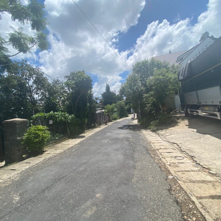 Bán đất, đường Nguyễn Đình Chiểu, Phường 9, TP Đà Lạt, 269,88m2, Giá tốt để đầu tư, Đường hẻm ô tô 5m