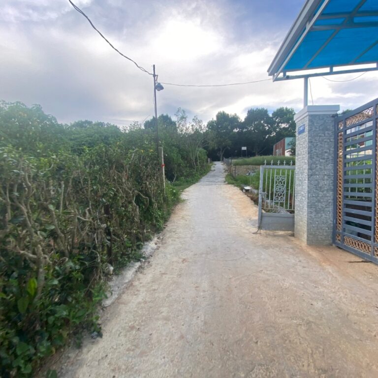 Bán 2 lô đất, đường Trần Quang Khải, Phường 8, TP Đà Lạt, 300m2 mỗi lô, ưu thế mặt tiền rộng, đường hẻm ô tô 3,5m