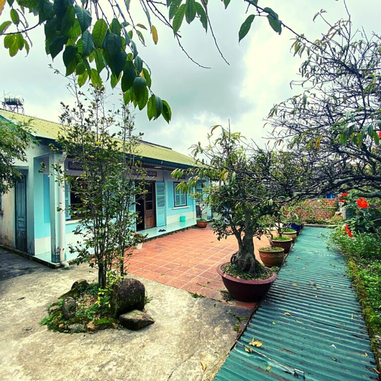 Bán đất, đường Hùng Vương, phường 10, thành phố Đà Lạt, 496,01m2, Thích hợp đầu tư nghỉ dưỡng, Đường hẻm 3m