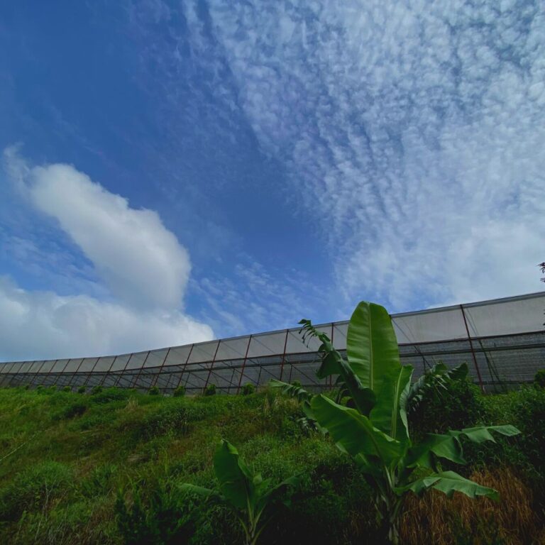 Bán đất, đường Xuân Thành, xã Xuân Thọ, thành phố Đà Lạt, 2512m2, Thích hợp kinh doanh nông nghiệp công nghệ cao, Đường hẻm ô tô 4m