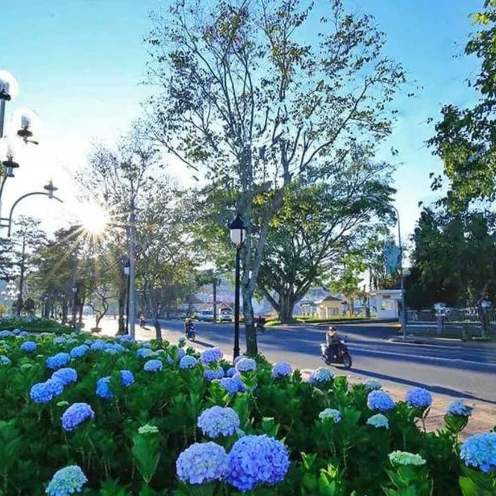 Dau tu phan lo dat nen BDS Da Lat quangthinhland.vn 04