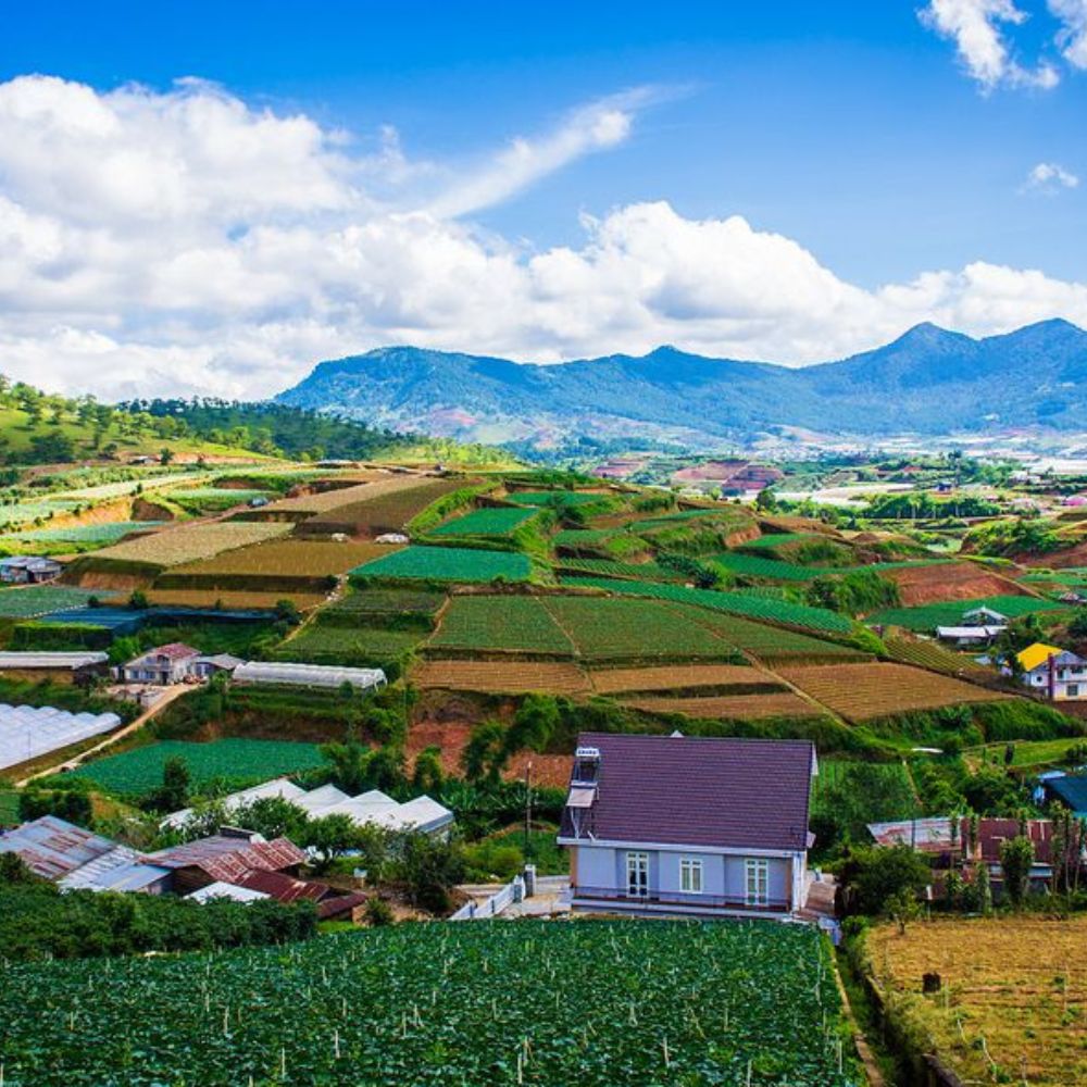 Quy hoach moi Dankia Suoi Vang quangthinhland.vn 01