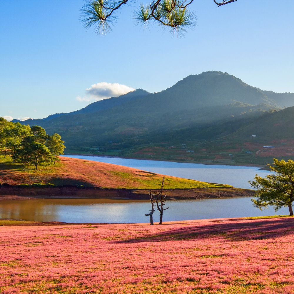 DỰ ÁN DANKIA SUỐI VÀNG LÂM ĐỒNG