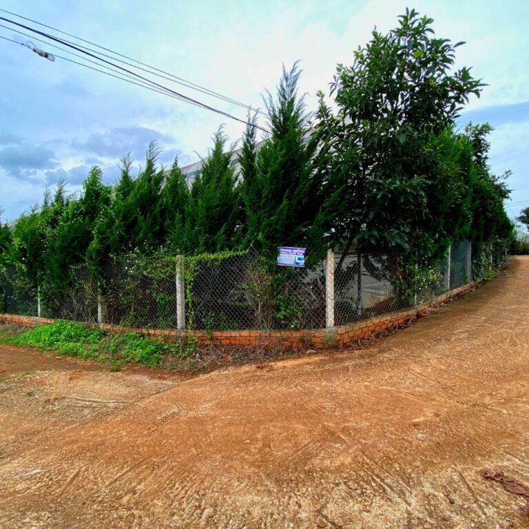 Bán đất, đường tỉnh lộ 725, xã Tà Nung, thành phố Đà Lạt, tỉnh Lâm Đồng, 1015m2, Thích hợp đầu tư kinh doanh, Đường ô tô đến tận nơi