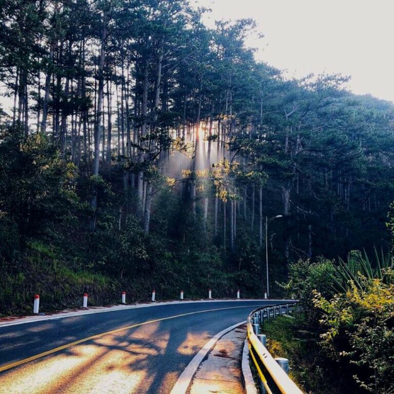 Bán đất, đường Đặng Thái Thân, phường 3, thành phố Đà Lạt, 335m2, 2 mặt tiền thích hợp đầu tư kinh doanh, Đường ô tô vào tận nơi