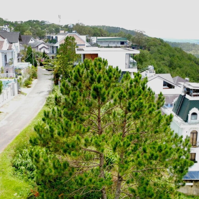 Bán đất, KQH Viện nghiên cứu hạt nhân, phường 10, thành phố Đà Lạt, 232m2, thích hợp định cư lâu dài, Đường ô tô vào tận nơi