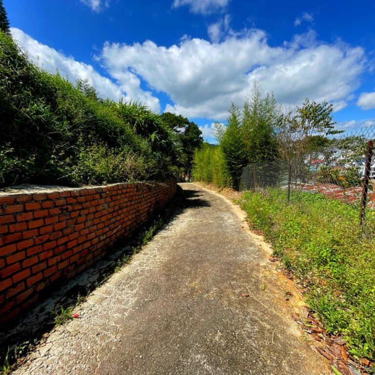 Bán đất, Trại Mát, Phường 11, thành phố Đà Lạt, 641.58m2, Thích hợp đầu tư kinh doanh, Đường hẻm ô tô 4m