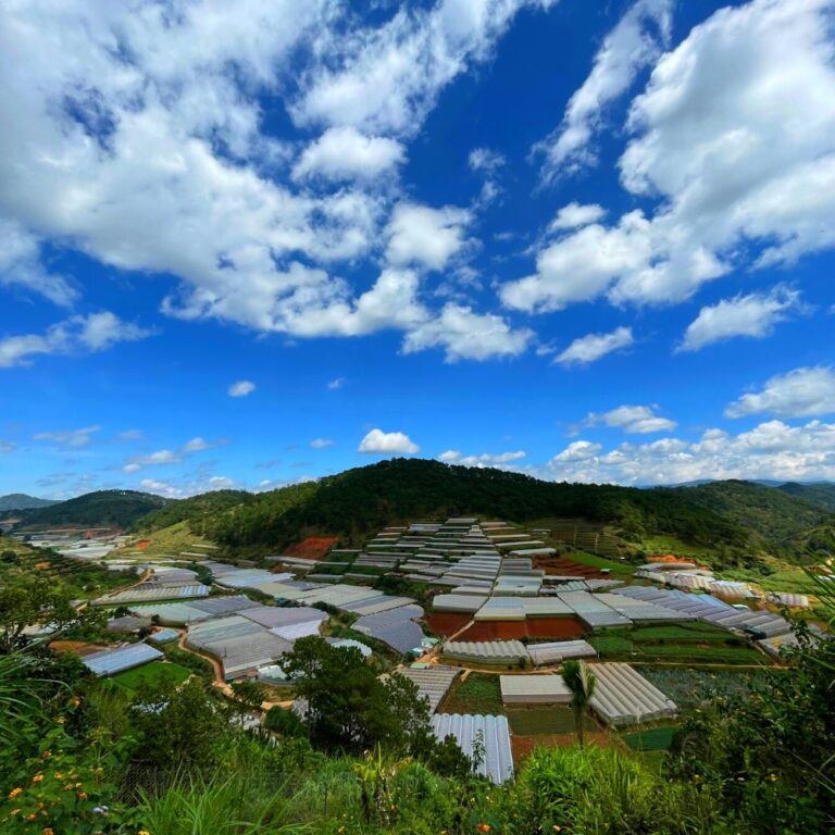 Bán đất, xã Xuân Thọ, thành phố Đà Lạt, tỉnh Lâm Đồng, 4000m2, Thích hợp đầu tư kinh doanh, Đường hẻm ô tô 4m