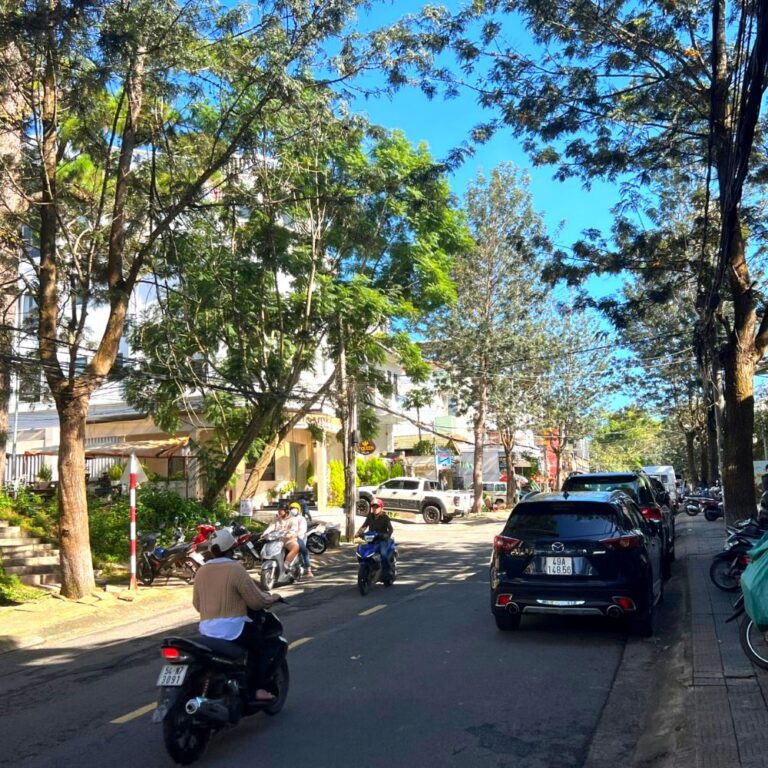 Bán nhà, đường Yersin, phường Lâm Viên (P9 cũ), thành phố Đà Lạt, 142m2, thích hợp định cư lâu dài, Đường ô tô vào tận nơi