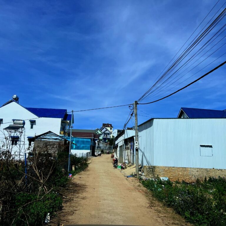 Bán 04 lô đất, đường hẻm Thống Nhất, huyện Lạc Dương, tỉnh Lâm Đồng, 225m2 đến 249m2, Thích hợp đầu tư kinh doanh, Đường ô tô 5m vào tận nơi