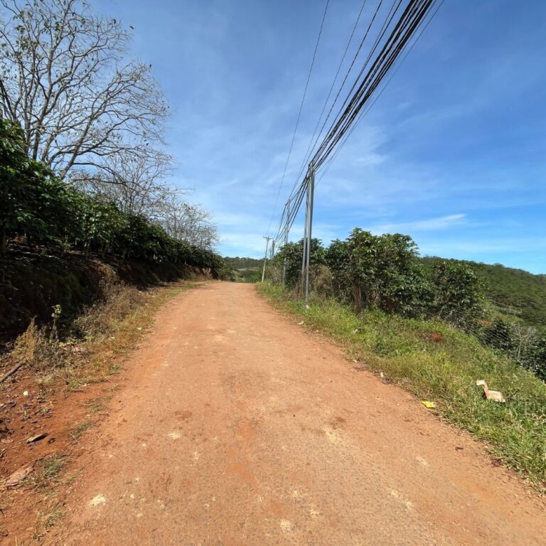 Bán 3 lô đất, đường Măng Line, phường Langbiang (P7 cũ), thành phố Đà Lạt, 336m2 đến 358m2, Thích hợp đầu tư và định cư, Đường ô tô vào tận nơi