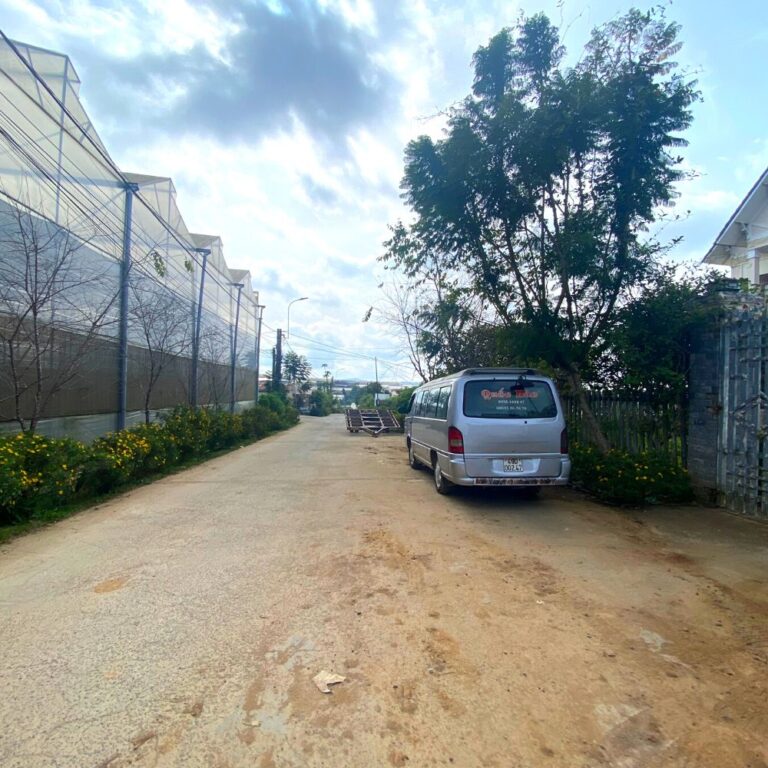 Bán đất, đường Cù Chính Lan, phường 8, thành phố Đà Lạt, 604.6m2, Thích hợp đầu tư kinh doanh, Đường ô tô tận nơi 6m