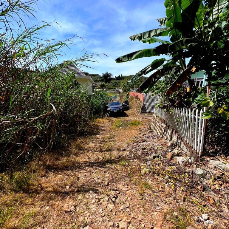 Bán đất, huyện Lạc Dương, tỉnh Lâm Đồng, 953m2, Thích hợp đầu tư kinh doanh, Đường ô tô 4m vào tận nơi