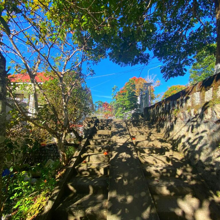 Bán đất, đường Lê Hồng Phong, phường 4, thành phố Đà Lạt, 412m2, Thích hợp đầu tư kinh doanh, Đường ô tô quy hoạch 20m