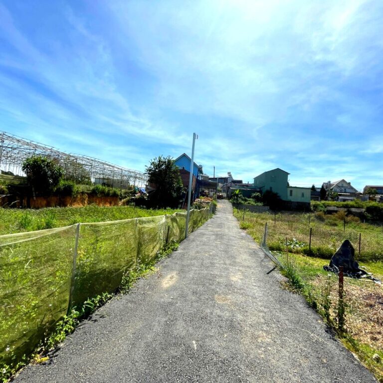 Bán đất, Măng Line, phường Langbiang (P7 cũ), thành phố Đà Lạt, 205.76m2, Thích hợp đầu tư kinh doanh, Đường hẻm bê tông 4m