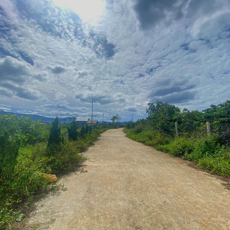 Bán 05 lô đất, xã Mê Linh, huyện Lâm Hà, tỉnh Lâm Đồng, 1983m2 – mặt tiền hơn 30m, Thích hợp đầu tư kinh doanh, Đường bê tông ô tô 6m