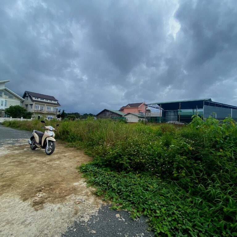Bán đất, đường Ngô Tất Tố, phường 8, thành phố Đà Lạt, 300m2, Thích hợp đầu tư kinh doanh, Đường ô tô vào tận nơi