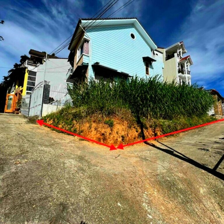 Bán đất, đường Phù Đổng Thiên Vương, phường 08, thành phố Đà Lạt 83,5m2, Thích hợp đầu tư kinh doanh, Đường ô tô 5m vào tận nơi