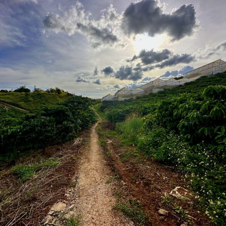 Bán đất, xã Tà Nung, thành phố Đà Lạt, tỉnh Lâm Đồng, 2023m2, Thích hợp đầu tư kinh doanh, Đường ô tô vào tận nơi