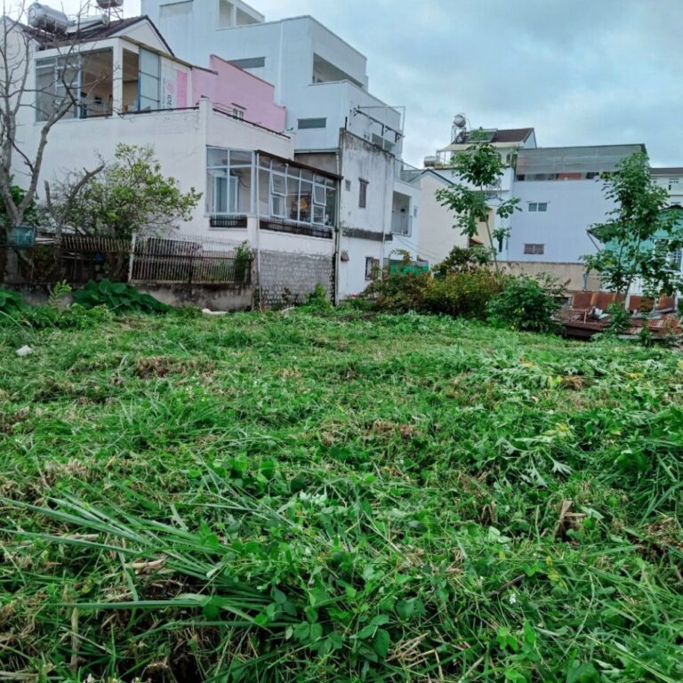 Bán đất, đường Thi Sách, phường 6, thành phố Đà Lạt, 490.12m2, Thích hợp đầu tư kinh doanh, Đường hẻm ô tô 5m