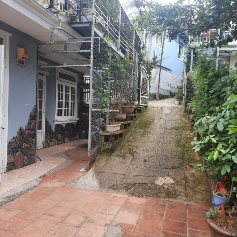 Bán đất, đường Thiện Ý, phường 4, thành phố Đà Lạt, 172.14m2, Thích hợp định cư kinh doanh, Đường hẻm bê tông 4m